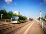 Wagen 510 der HAVAG an der Haltestelle Halle/Saale, Schwimmhalle