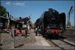 01 005 in Bw-Atmosph�re (Dampflokfest im Traditionsbahnbetriebswerk Sta�furt, gesehen Sta�furt-Leopoldshall 05.06.2010)