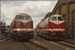 Bei dichter Bew�lkung standen die beiden Gro�diesel BUNA 204 / 228 501 und DLFB 119 158 / 219 158 w�hrend des 15. Berliner Eisenbahnfest am 15.09.2018 am Lokschuppen im Betriebsbahnhof Sch�neweide nebeneinander.
