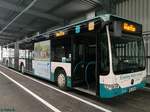 Mercedes Citaro II der Neubrandenburger Verkehrsbetriebe in Neubrandenburg.