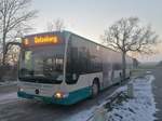 Mercedes Citaro II der Neubrandenburger Verkehrsbetriebe in Neubrandenburg.