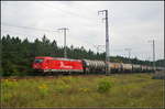 RheinCargo 2063 / 185 605-3 fuhr bei bew�lktem Himmel am 30.08.2017 mit einem Kesselwagenzug durch die Berliner Wuhlheide