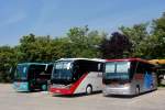 Drei tolle Busse am 19.6.2013 in Krems,mittig der neue Setra 515 HD von Blaguss Reisen/Wien.