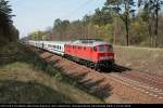 DB Schenker 232 524-9 mit dem Berlin-Warschau-Express nach Warschau (ohne Logo, ex 132 524-0, gesichtet Grnheide Fangschleuse, 14.04.2009).