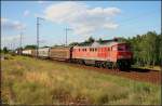 DB 233 249-2 mit gemischtem Gterzug (ex 232 249-3, gesichtet Berlin Wuhlheide, 21.07.2009 - Update: In Saalfeld z)