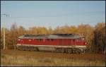 LEG 132 004-3 / 232 204 solo nach Angermünde am 14.11.2012 in der Berliner Wuhlheide