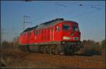 DB Schenker 233 233 solo am 05.03.2013 in der Berliner Wuhlheide.