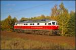 DB Schenker 232 128 zum Tanken nach Bln.-Lichtenberg am 24.10.2013 durch die Berliner Wuhlheide