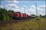 WFL 25 / 203 112-8 und Schwesterlok WFL 26 mit Fcs-Wagen am 28.08.2014 durch die Berliner Wuhlheide (ex DB 202 683-9, NVR-Nummer 92 80 1203 112-8 D-WFL)