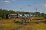 185 563-4, von boxXpress eingesetzt, mit dem LKW Walter-KLV am 28.08.2014 durch die Berliner Wuhlheide