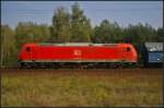 Die Mannheimer 185 005-6 von DB Schenker Rail mit Falns-Wagen von PKP Cargo am 16.09.2014 durch die Berliner Wuhlheide (NVR-Nummer 91 80 6185 005-6 D-DB)