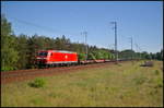 Schon etwas ausgeblichen ist der Lack von DB Cargo 185 064-3, als sie mit einem Zug mit Blechplatten am 27.05.2017 durch die Berliner Wuhlheide fuhr