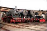 74 1230, 52 8173 und 52 6666 stehen zur Parade vor dem Lokschuppen (Bw Schneweide 04.10.2009)