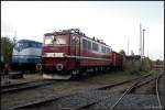 DR 211 001-3 mit einem Fotogüterzug auf dem Eisenbahnfest (Bw Schöneweide 04.10.2009)