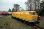 DB Bahnbau 229 100-3 zu Gast beim Fest (Eisenbahnfest des TEV zum Weimarer Zwiebelmarkt, Weimar 10.10.2009)