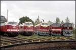 Geballte Dieselpower beim Eisenbahnfest des Thringer Eisenbahnverein zum Saisonabschluss 2009.