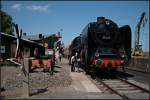 01 005 in Bw-Atmosphre (Dampflokfest im Traditionsbahnbetriebswerk Stafurt, gesehen Stafurt-Leopoldshall 05.06.2010)