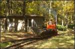 Lok  Siegfried  mit ein paar Loren unterwegs auf der Parkeisenbahn Wuhlheide auf Hhe des Stellwerks Badesee (20 Jahre Schmalspurbahn-Freunde Berlin e.V., gesehen Berlin Wuhlheide 23.10.2010)