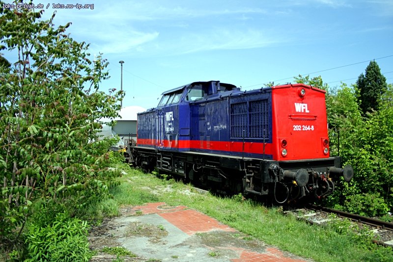 WFL Lok 17 / 202 264-8 in Berlin Greifswalder Straße, 14.05.2009 (ex HWB VL 11  Tine , ALS 203 504, DR 202 264)